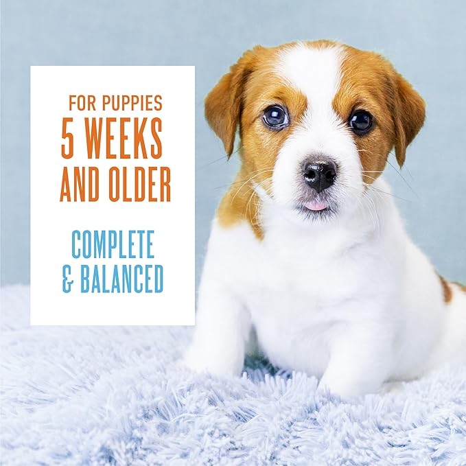 Tiki Dog Aloha Petites Puppy, Chicken with Chicken Liver & Pumpkin, Grain Free Recipe with Protein, Mousse For Small Breed Dogs and All Life Stages, 3 oz. Pouch (12 Count)