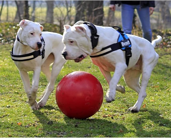 Jolly Pets Push-n-Play Ball Dog Toy, 4.5 Inches/Small, Blue (345 BL)