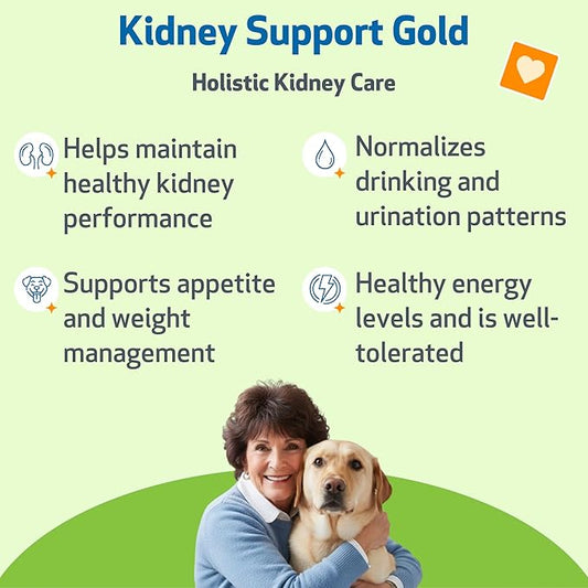 Pet Wellbeing Kidney Support Gold for Dogs - Supports Healthy Kidney Function, Fluid Balance, Energy Levels, Rehmannia, Dong Quai - Veterinarian-Formulated Herbal Supplement 4 oz (118 ml)