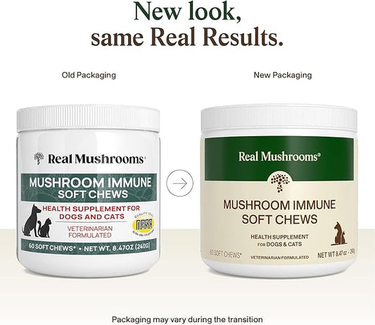 Real Mushroom Immune Pet Chews β For Daily Digestive & Immune Health β Mushrooms for Dogs & Cats Functional Treat β Mushroom Supplement for Dogs & Cats β 1 to 4 Chews For All Breeds & Sizes (60 Count)