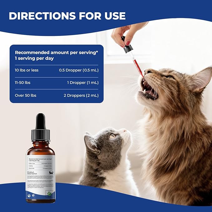 Appetite Stimulant for Cats – Liquid Vitamin B12 Drops, Methylcobalamin(Methyl B12) Cat Supplement, Boosts Appetite, Energy, Mood, Recovery - 2 fl oz (60ml)