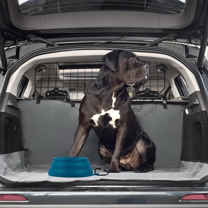 OHMO 2 Pack Cat Food Can Lids, Small Size (3 oz,Dark Blue)&No Spill Collapsible Dog Water Bowl
