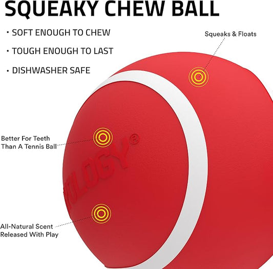 Playology Dog Toys | Squeaky Chew Ball - Bouncy Durable Floating Fetch Ball for Dogs, Value 3-Pack | Small Beef Scented Toy - Easy to Clean and Made from Non Toxic Materials