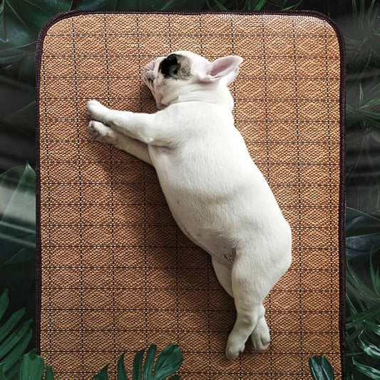 AYNEFY Doublesided Pet Mat Dog Daily Supplies Rattan and Warm Plush Cat Dog Bed for Summer Winter Use with Strong Edging for Cages Or Floor Doublesided Pet Mat Soft Breathable Cooling (XL)
