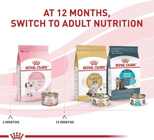Royal Canin Feline Health Nutrition Kitten Loaf in Sauce Cat Food, 5.1 oz (Pack of 24)