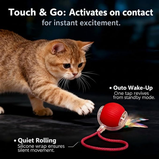 JBD Interactive Cat Toy Ball for Indoor Cats - Silent Automatic Rolling & Self Moving Electric Kitten Toys, USB Rechargeable Smart Ball with Tail, Motion Activated Hunting Exercise for Bored Cats Red