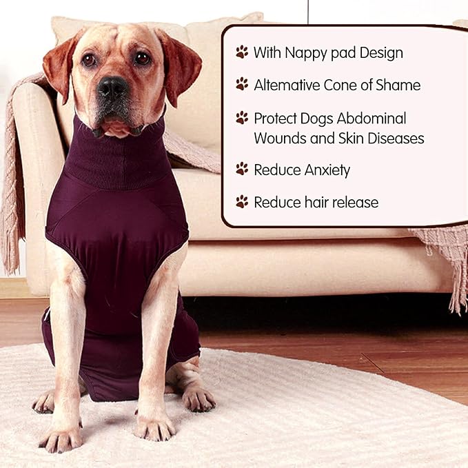 Polyester Dog Surgeries Bodysuit Ensuring and Comfortable During and Post Recovery Clothing Pet Supply Dog Recovery Jumpsuit
