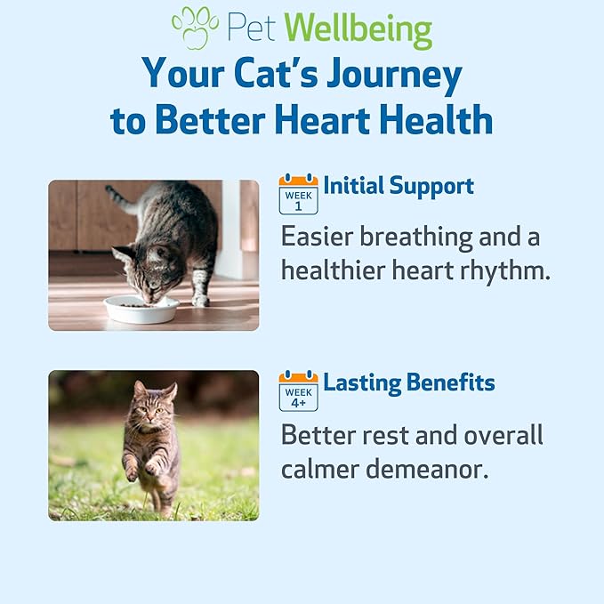Pet Wellbeing Young at Heart for Cats - Senior Feline Heart Health Support, Cardiovascular Wellness with Hawthorn & Motherwort - NASC Certified & Vet-Formulated - 4 oz Liquid Formula