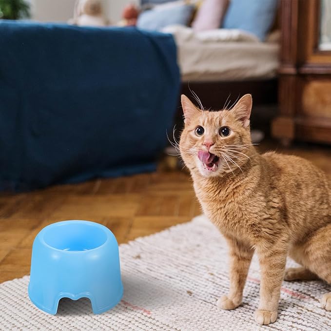 Toddmomy Dog Food Bowl Plastic Pet Feeding Bowl Travel Portable Water Dish for Dogs and Cats Blue Candy Color Sturdy Puppy Feeding Supplies