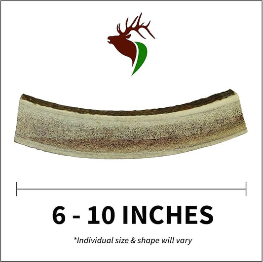 ā Elk Antlers for Dogs, X Large (6-10") Split, 1 Pack, All Natural Dog Chew for X Large Dogs, Premium Naturally Shed Antler Bone for Aggressive Chewers, Sourced in The USA
