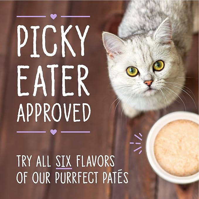 Stella & Chewy's Carnivore Cravings Purrfect Paté - Premium Grain-Free Wet Cat Food - Chicken & Salmon Recipe - High Protein with Bone Broth - Perfect for Picky Eaters - 5.2oz Cans (24 Pack)