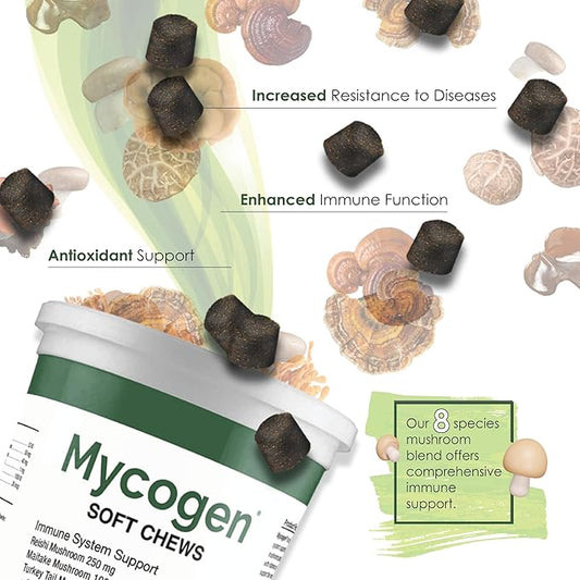 Mycogen Soft Chew for Dogs - 8 Species Mushroom Blend for Critical Immune System Support- Turkey Tail, Reishi, Shiitake, Cordyceps, Black Tree Fungus-240 Tasty Soft Chews