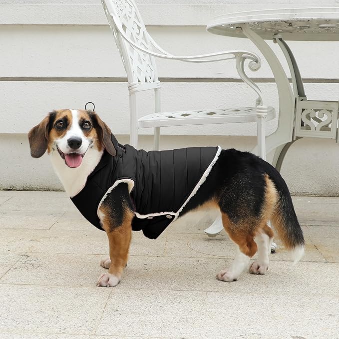 Fleece Lining Dog Hoodie with Harness Built in,Extra Warm Small Dog Jacket in Winter Puppy Coats with Drawstring Hooded,Black S