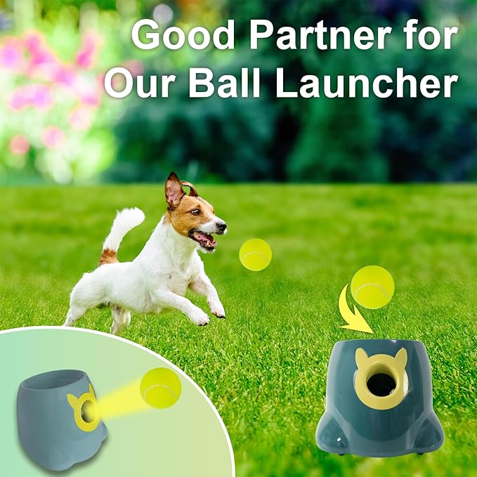 2 inch Dog Training Tennis Balls, 16 Pack Pet Mini Tennis Balls for Small Medium Dogs Fetching Training Exercise