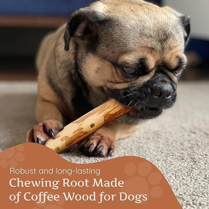 Wildfang® Coffee Wood Dog Chew, XS – Tough Chew Toys for Aggressive Chewers, Dog Teething Toys for Puppies, Training for Chewing Muscles, Coffee Tree Sticks for X-Small Dogs (Under 22 lbs), Pack of 3