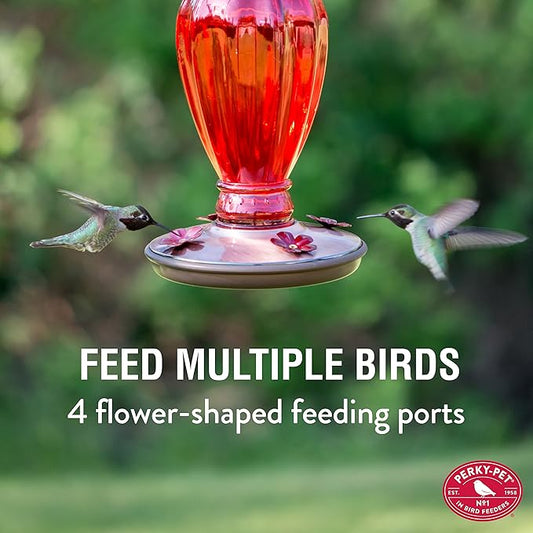 Perky Pet 8133-2 Daisy Vase Vintage Glass Hummingbird Feeder
