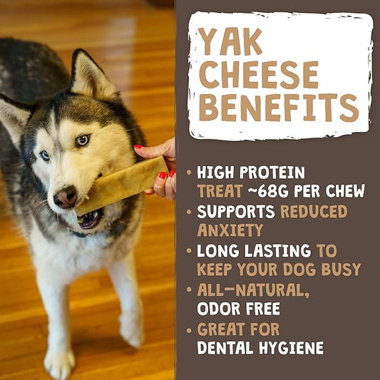 Mighty Paw Yak Cheese Dog Chews β All-Natural Long Lasting Hard Chew for Aggressive Chewers β High Protein, Odor-Free Dog Treat β 3 Ingredient Natural Yak Chews for Large Dogs β (4 Pack)
