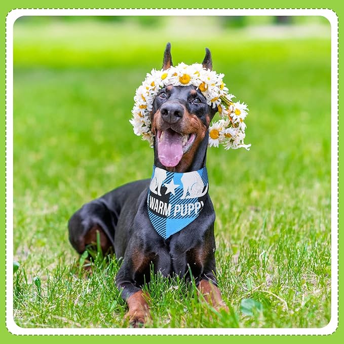 Kacctyen 300 Pcs Dark Plaid Dog Bandanas Bulk for Groomers Pet Scarf Puppy Bibs with Cute Sayings Adjustable Washable Pet Spring Summer Accessories for Small to Large Dogs Cats