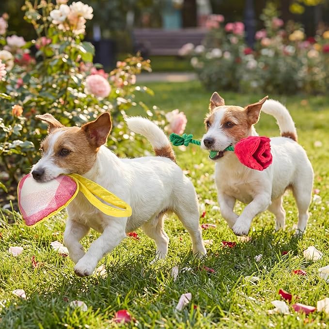 Vehomy Valentine's Day Dog Toys Set- Puppy Diamond Ring Toy with Squeaker Dog Crinkle Rose & Squeaky Love Heart Toys 3-Pack Valentines Pet Toy for Small Medium Dogs