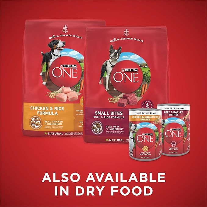 Purina ONE Tender Cuts in Gravy Chicken and Brown Rice and Beef and Barley Entrees High Protein Wet Dog Food Variety Pack (Pack of 12)