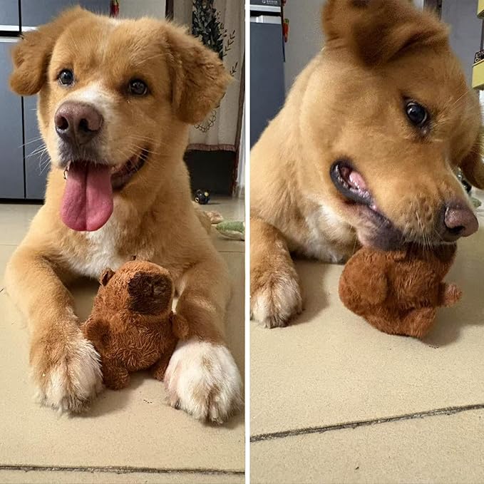 Dog Plush Toy with Squeak , Funny Capybara Stuffing Plush Dogs Chew Toy Bundle for Small Medium Large Dogs, Durable Chew Toy, Good for Dental Health Keep, Them Busy Best Birthday Gift (Capybara)