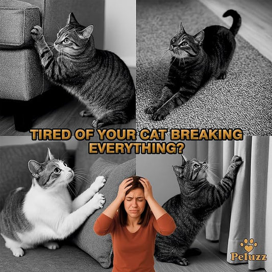 Kitty Curls Cat Scratcher, Magnetic Shape-Shifting Reversible Eco-Friendly Cardboard Ring, Collapsible Ball Track + Bell Ball, Catnip Included & Bonus Toy – Helps Protect Furniture for Cats & Kittens