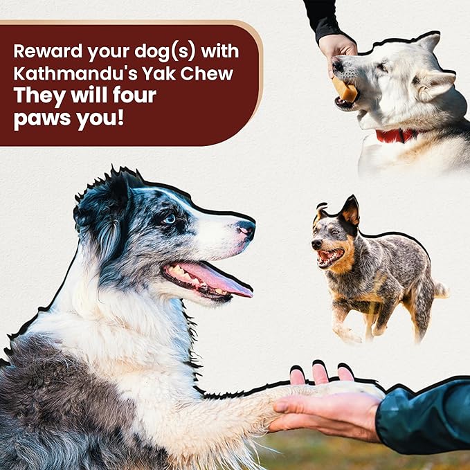 KATHMANDU'S Yak Chew Nuggets Dog Treats - (1 lb Bag) Long Lasting Himalayan All Natural Cheese Treats, Healthy Dental Chews for Aggressive Chewers, Training Dogs Treat | Yak Milk Chew Bites