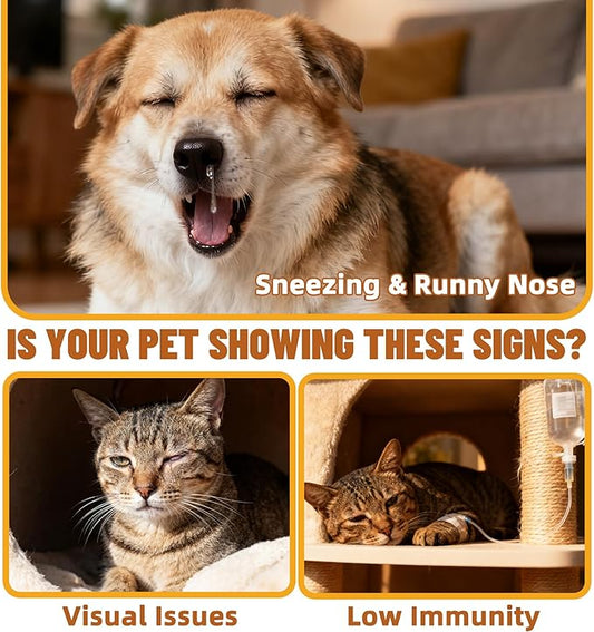 Just Try L-Lysine Powder Lysine for Cats Lysine Cat Immune Support for Dogs Lysine Supplement Cat Health Supplies 7 OZ