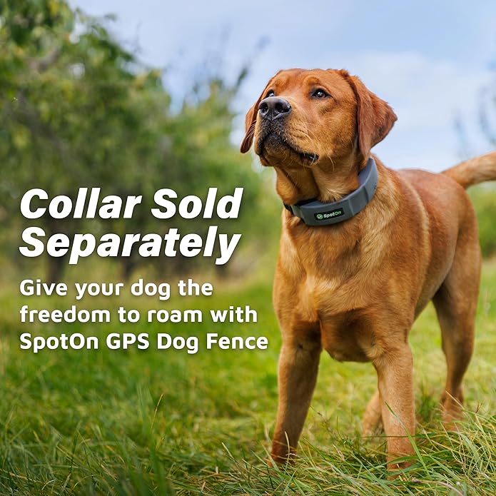 SpotOn GPS Dog Collar Strap Replacement Kit for Large Dogs, Accurate & Reliable Wireless Dog Fence Collar, Gray Color, Collar Sold Separately