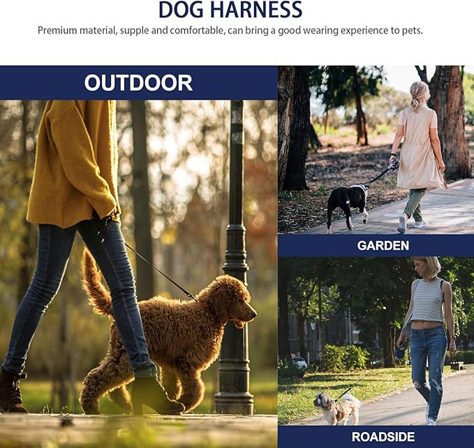 Dog Harness Leash Set with Adjustable Vest and 1.0x120cm Round Rope Leash, Reflective Pet Walking Supplies for Small to Medium Dogs Outdoor Use