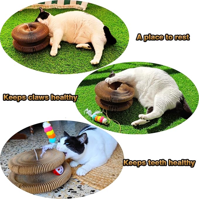 Kitty Curls Cat Scratcher, Magnetic Shape-Shifting Reversible Eco-Friendly Cardboard Ring, Collapsible Ball Track + Bell Ball, Catnip Included & Bonus Toy – Helps Protect Furniture for Cats & Kittens