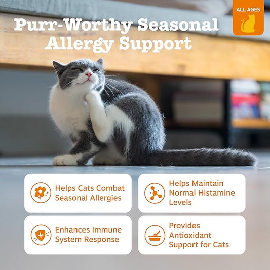 Zesty Paws Cat Allergy Relief - Anti Itch Supplement - Omega 3 Probiotics - Salmon Oil Digestive Health - Soft Chews for Skin & Seasonal Allergies - with Epicor Pets - Bacon - 60 Count