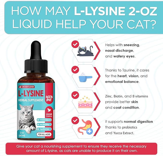 L Lysine for Cats Helps with Watery Eyes, Sneezing, Cough, Allergy – Works as Natural Antibiotic for Cats – Feline Upper Respiratory Supplement with Vitamins, Probiotic and Chicken Flavor – 2 Oz