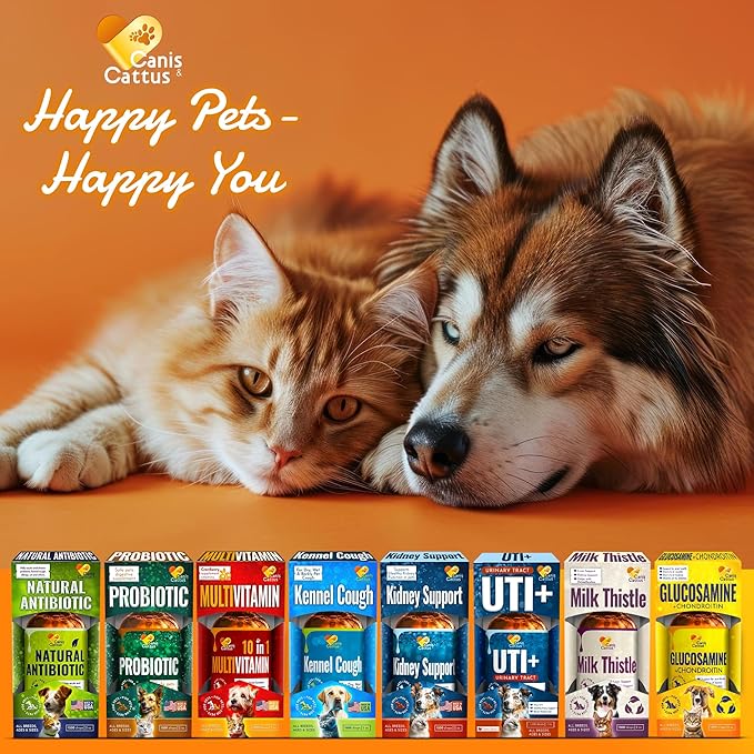 Cat Vitamins for Indoor Cats for Breathing & Digestion | Liquid Multivitamin for Dogs as Bladder Control Supplements | Dog Vitamins to Support Joints, Eyes, Skin & Coat | 2 Oz