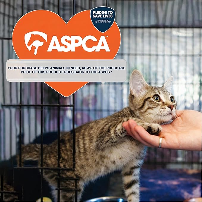 ASPCA Cat Scratching Post for Indoor Cats – Compact Sisal Rope Scratcher with Hanging Teaser Toy – Space-Saving Scratching Post for Kittens & Small to Medium Cats