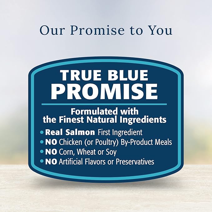 Blue Buffalo Basics Skin & Stomach Care Natural Wet Dog Food Topper, Salmon in Gravy 2.5oz Pouch (12 Pack)
