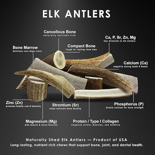 3-Pack Small Split Elk Antler Dog Chews (5 to 6.5+ in) – All Natural, Premium Grade A, Odor-Free, USA-Sourced – Long-Lasting Dental Treats for Toy and Small Dogs Under 15 lbs