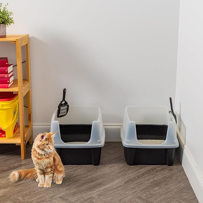 IRIS USA 2 Pack Large Open Top Cat Litter Box with High Sides, Scatter Shield & Scoop, Black, for Indoor Cats, Kittens or Multicat Homes