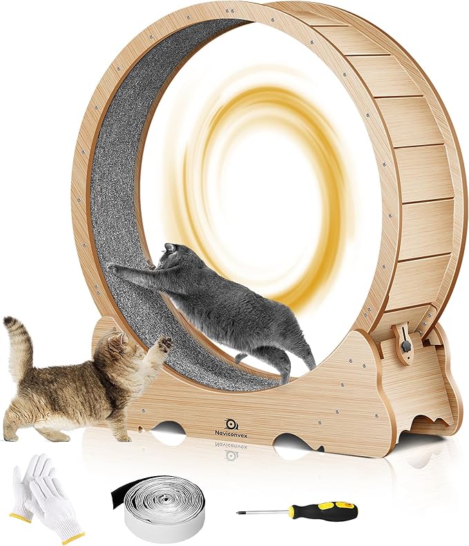 Cat Wheel, 53" XXL