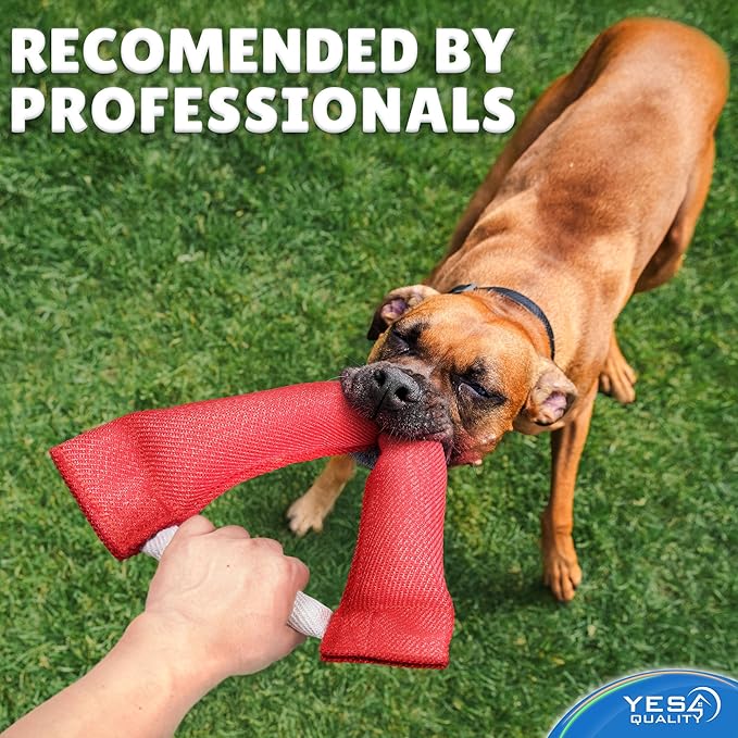 YES4QUALITY Dog Toy - Tug of War for Dogs - Horseshoe Shape Pull and Play Toy for 2 Dogs - 10x11 Inch, Fun Fuchsia - Durable Training and Exercise Equipment for Medium to Large Breeds