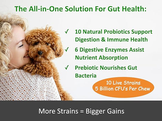 TummyWorks Probiotics for Dogs. 120 Probiotic Soft Chews for Digestive Health, Gut, Immunity, Energy, Allergies, Skin & Coat. 10 Strains, 5 Billion CFUs with 6 Enzymes. Made in USA