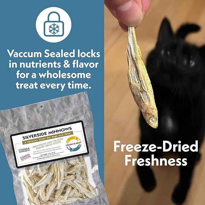 Fresh Is Best Silverside Minnows, and Chicken Hearts Freeze Dried Dog Treats Bundle – High-Protein Minnows for Cats and Dogs – Resealable Zipper Bag Dog Training Treats – Made in USA