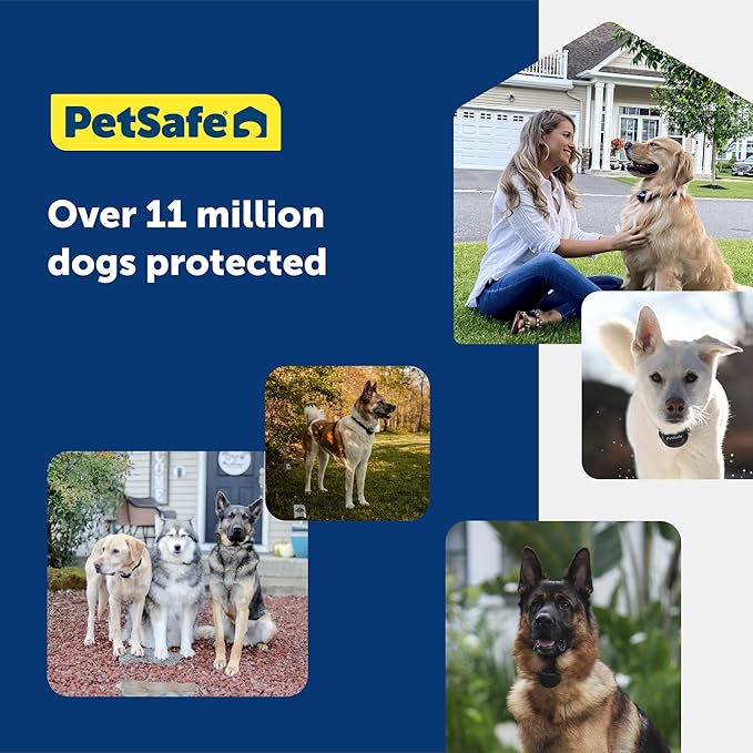 PetSafe Stubborn Dog In-Ground Fence Reciever Collar with 2 Batteries - Waterproof & Battery-Operated Adjustable Invisible Boundary Training Collar - for Dogs Weighing 8lb+