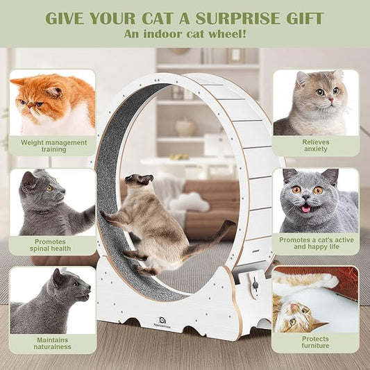 Cat Wheel, 48" XL Large Cats Exercise Running Wheel, Cat Treadmill for Indoor Cats