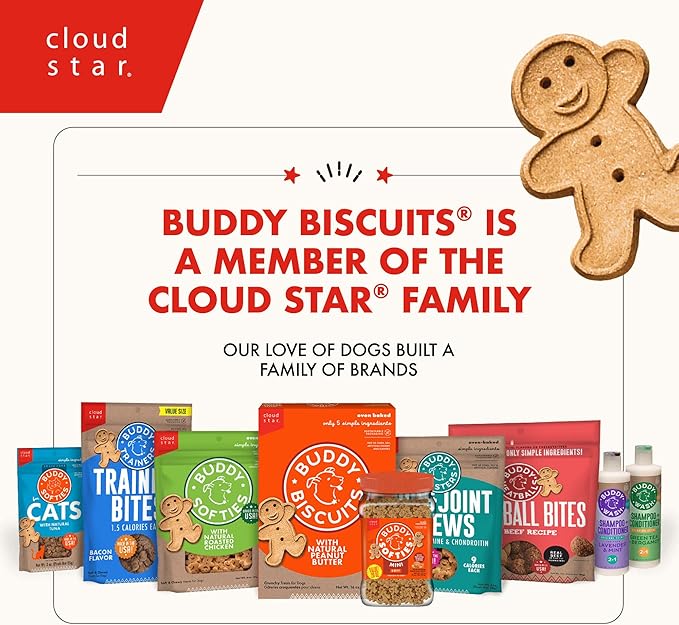Buddy Biscuits Cloud Star 8 oz. Box Teeny Crunchy Dog Treats Made with Bacon & Cheese (Pack of 2)