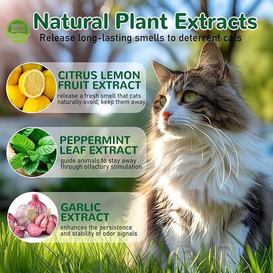 10 Pack Natural Peppermint Oil Cat Deterrent Balls, Outdoor Indoor Pet Deterrent for Cats & Dogs, Keep Cats Away from Yard Garden Plants Furniture Trash, Anti Scratch and Chew
