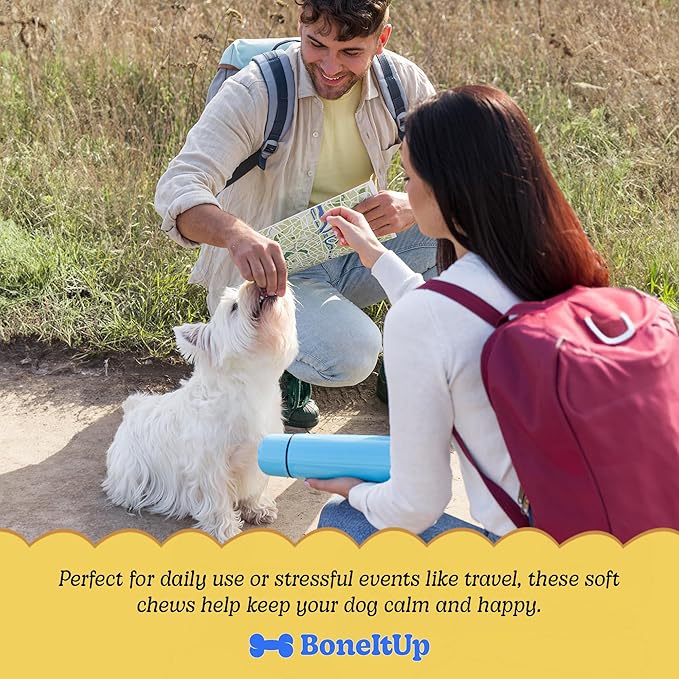 BoneItUp Pet Calming Chews for Dogs - Helps with Separation, Anxiousness, Thunderstorms & More - Natural Dog Calming Treats with Chamomile, L-Tryptophan & Melatonin for Balanced Mood & Sleep (90 Ct)