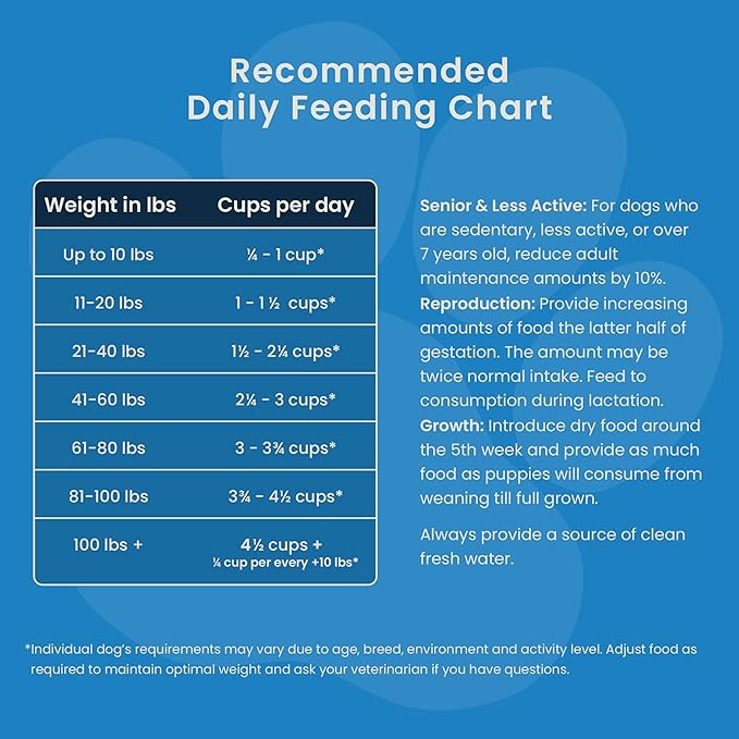 Muenster Perfect Balance Raw Chicken Kibble Mix with Freeze Dried Chicken for Dogs - High Protein, No Corn, Wheat, or Soy - Probiotic Dog Food Raw Treats for Healthy Gut - All Life Stages, 3.5 lb Bag