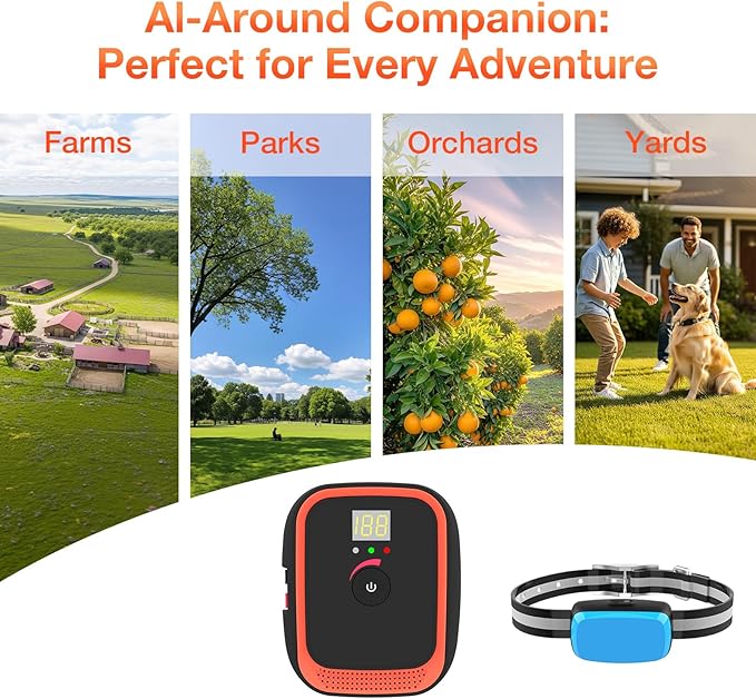 Electric Fence for Dogs, Rechargeable Underground Dog Fence with 656Ft Wire, 2 Waterproof Collar, Wired Dog Fence System for 1 Dog