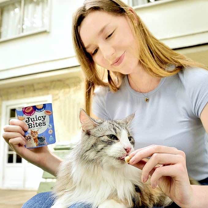 INABA Juicy Bites, Moist & Chewy Cat Treats with Vitamin E and Green Tea Extract, 0.4 Ounces per Pouch, 18 Pouches (3 per Bag), Fish and Clam